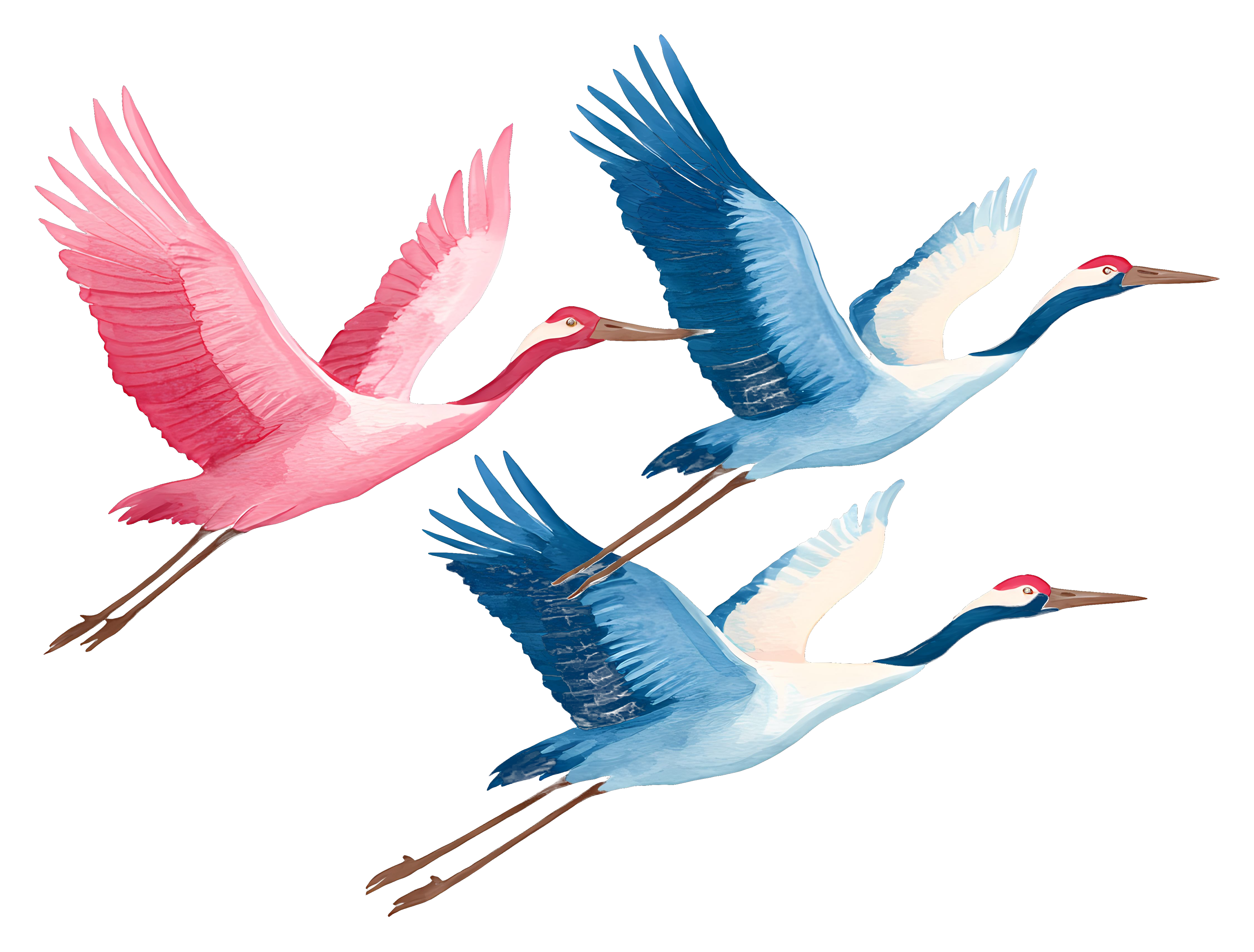 Migratory cranes